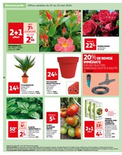Terreau Angebote im Prospekt "Auchan" von Auchan Hypermarché auf Seite 34