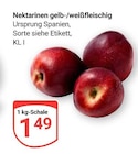 GLOBUS Halle (Saale) Prospekt mit  im Angebot für 1,49 €