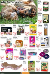 Steak Angebot im aktuellen GLOBUS Prospekt auf Seite 21