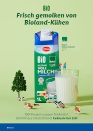 Vollmilch Angebot im aktuellen Lidl Prospekt auf Seite 22