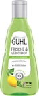 Shampoo oder Trockenshampoo oder Spülung im Angebot bei Rossmann in Unna Shampoo oder Trockenshampoo oder Spülung Angebote von Guhl bei Rossmann Unna für 3,29 €