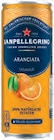 Limonade Limone von San Pellegrino für 0,99 € bei Netto mit dem Scottie im Angebot Limonade Limone von San Pellegrino im aktuellen Netto mit dem Scottie Prospekt