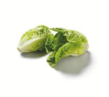 Lidl - Mini Romana Salat Angebot im Prospekt Mini Romana Salat bei Lidl im Prospekt "" für 0,66 €