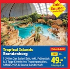 Tropical Islands Brandenburg bei Lidl im Prospekt "" für 49,00 €