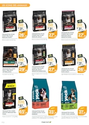 Croquettes Chien en promo dans le catalogue Point Vert à la page 10