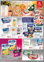 Schafskäse im Selgros Prospekt in Fürth Aktueller Selgros Prospekt mit Schafskäse, "HIER KAUFEN PROFIS & GENIESSER", Seite 7