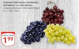 Premium Tafeltrauben rosé kernlos Angebote bei GLOBUS Rostock für 1,99 €