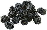 REWE Sonthofen - Brombeeren Angebot im Prospekt Brombeeren bei REWE im Sonthofen Prospekt für 1,49 €