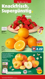 Aktueller Penny Prospekt mit Erdbeeren, "Wer günstig will, muss Penny.", Seite 2