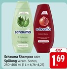 Schauma Shampoo im Angebot bei EDEKA in Pforzheim Schauma Shampoo Angebote von schauma bei EDEKA Pforzheim für 1,69 €