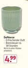 Duftkerze  im aktuellen Rossmann Prospekt für 4,99 €
