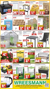 Kartoffeln im Wreesmann Prospekt "DEIN SAISON- & SONDERPOSTENMARKT!" mit 8 Seiten (Dresden)