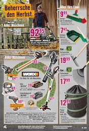 Rasen Angebote im Prospekt "Dir ist vieles Latte. Nur nicht Dein Garten." von Hornbach Rasen Angebote im Prospekt "Dir ist vieles Latte. Nur nicht Dein Garten." von Hornbach auf Seite 17