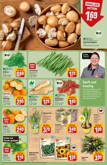 Staubsauger im REWE Prospekt "Dein Markt" mit 38 Seiten (Hamburg)