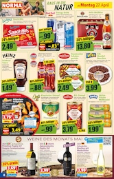 Norma Primitivo im Prospekt 