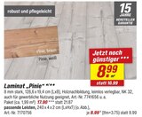 Laminat Pinie im Angebot bei toom Baumarkt in Wismar Laminat Pinie Angebote bei toom Baumarkt Wismar für 8,99 €