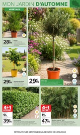 Prospectus Carrefour "JARDIN" en cours à Villeurbanne, Page 4 Catalogue Carrefour en cours à Villeurbanne, "JARDIN", Page 4