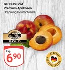 Premium Aprikosen im Angebot bei GLOBUS in Leipzig Premium Aprikosen Angebote von GLOBUS Gold bei GLOBUS Leipzig für 6,90 €