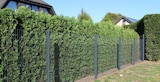 Doppelstabmatte 8/6/8 schwer Zaunhöhe 1.230 mm bei Raiffeisen Waren GmbH im Hanau Prospekt für 31,90 €