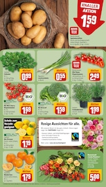 Kartoffeln im REWE Prospekt in Magdeburg Aktueller REWE Prospekt mit Kartoffeln, "Dein Markt", Seite 11