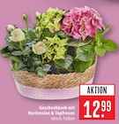 Geschenkkorb mit Hortensien & Topfrosen Angebote bei Marktkauf Esslingen für 12,99 €