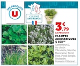 Plantes Aromatiques Bio - U dans le catalogue Hyper U