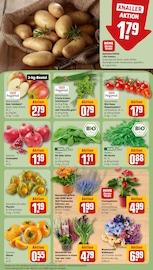 Tomaten im REWE Prospekt in Mönchengladbach Aktueller REWE Prospekt mit Tomaten, "Dein Markt", Seite 11