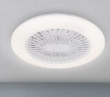 Deckenleuchte mit Ventilator im Angebot bei toom Baumarkt in Essen Deckenleuchte mit Ventilator Angebote von toom bei toom Baumarkt Essen für 54,99 €