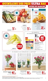 Offre Plante Verte dans le catalogue U Express du moment à la page 7