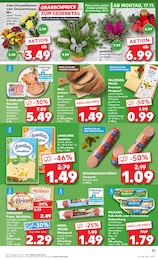 Chrysanthemen Angebot im aktuellen Kaufland Prospekt auf Seite 53