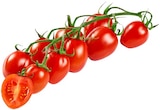 Mini Roma Rispentomaten im Angebot bei REWE in Kaufbeuren Mini Roma Rispentomaten Angebote von REWE Regional bei REWE Kaufbeuren für 1,44 €