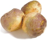 Steckrübe für 0,99 € bei Netto mit dem Scottie im Angebot Steckrübe im aktuellen Netto mit dem Scottie Prospekt