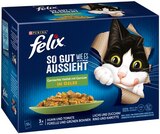 Katzenahrung von Felix im aktuellen REWE Prospekt für 3,99 €