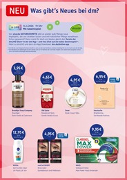 dm-drogerie markt Ariel im Prospekt 