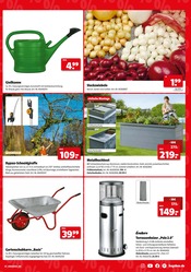 Aktueller Hagebaumarkt Prospekt mit Blumenzwiebeln, "SUPER DEALS", Seite 7