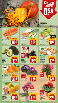 Orchidee im aktuellen REWE Prospekt (Frankfurt (Main)) Orchidee im REWE Prospekt "Dein Markt" mit 30 Seiten (Frankfurt (Main))