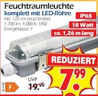 Feuchtraumleuchte bei Wreesmann im Prospekt "" für 7,99 €
