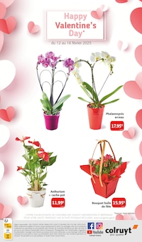 Promo Orchidée dans le catalogue Colruyt du moment à la page 36