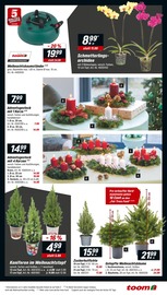 Aktueller toom Baumarkt Prospekt mit Tannenbaum, "Respekt, wer's selber macht.", Seite 3