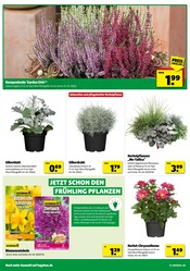Aktueller Hagebaumarkt Prospekt mit Balkonpflanzen, "SO günstig geht das!", Seite 18