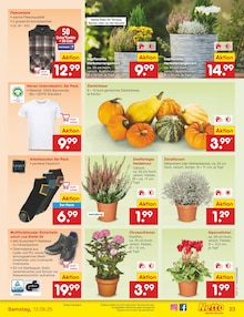 Schuhe im Netto Marken-Discount Prospekt "Aktuelle Angebote" mit 55 Seiten (Hildesheim)