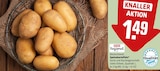 Speisekartoffeln im Angebot bei REWE in Erlangen Speisekartoffeln Angebote von REWE Regional bei REWE Erlangen für 1,49 €