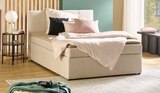 Boxspringbett Angebote bei Sconto SB Paderborn für 399,00 €