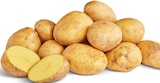Deutsche Bio-Kartoffeln bei Penny im Prospekt "" für 1,89 €