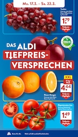 Aktueller ALDI SÜD Prospekt mit Tomaten, "Gutes für Alle.", Seite 4