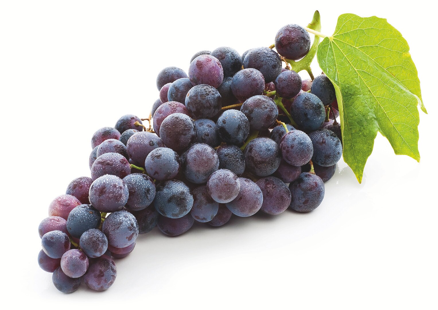 Raisin noir Muscat