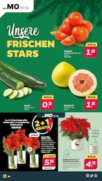 Netto mit dem Scottie Keramik im Prospekt 