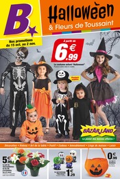 Chrysanthèmes Angebote im Prospekt "Halloween & Fleurs de Toussaint" von Bazarland Chrysanthèmes Angebote im Prospekt "Halloween & Fleurs de Toussaint" von Bazarland auf Seite 1