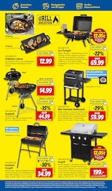 Gasgrill im Lidl Prospekt in Seevetal Aktueller Lidl Prospekt mit Gasgrill, "LIDL LOHNT SICH", Seite 25