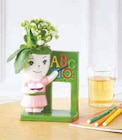 Kalanchoe Figurine Professeur - Super U à Orléans Kalanchoe Figurine Professeur en promo chez Super U Orléans à 6,99 €
